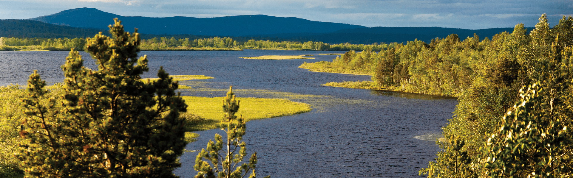 Заповедник «Пасвик»